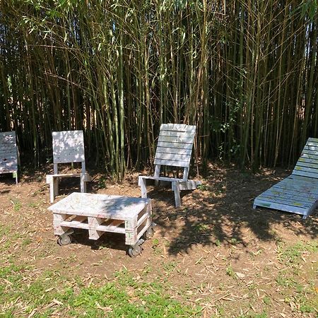 B&B - Chambres D'Hotes Acoucoula 奥尔泰兹 外观 照片